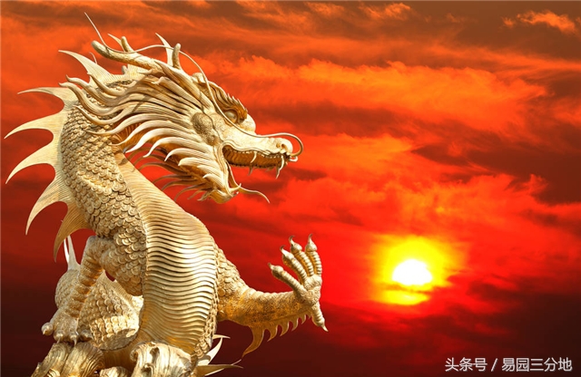 生肖龙人生于巳时的命运,十二生肖生月论命之属猪