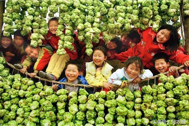 旅游+扶贫，榨菜之乡走出致富新路径！