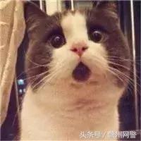 网警提醒小心传销买车骗局,网警提醒小心被套路