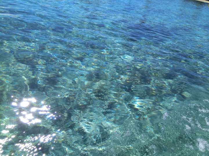 汤加和斐济哪个国家大,斐济国家主产什么