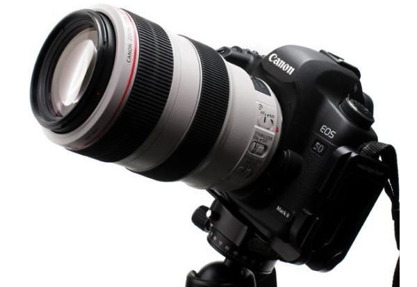 春之物语完整视频,《春之物语》