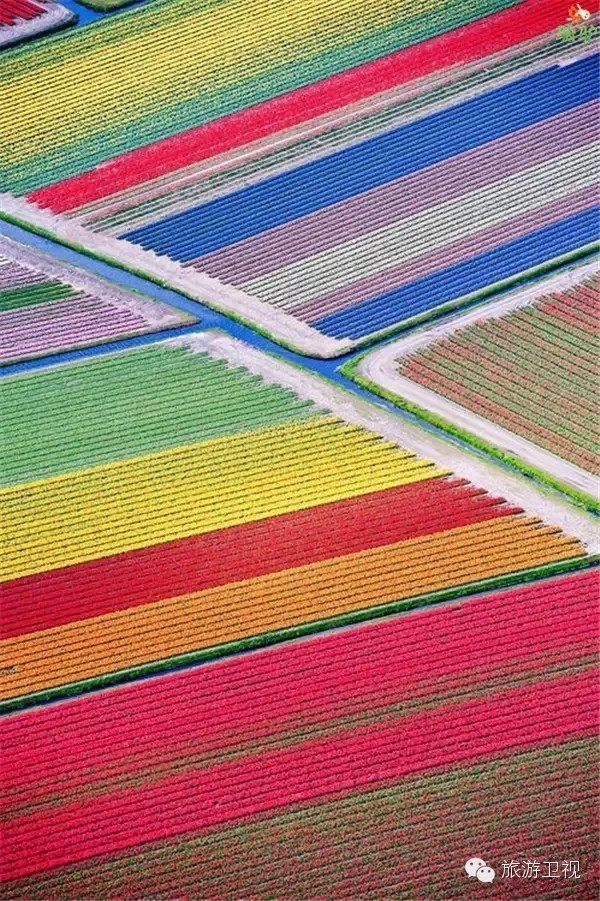 已经开放旅游签证申请的国家,现在开放旅游签证的国家