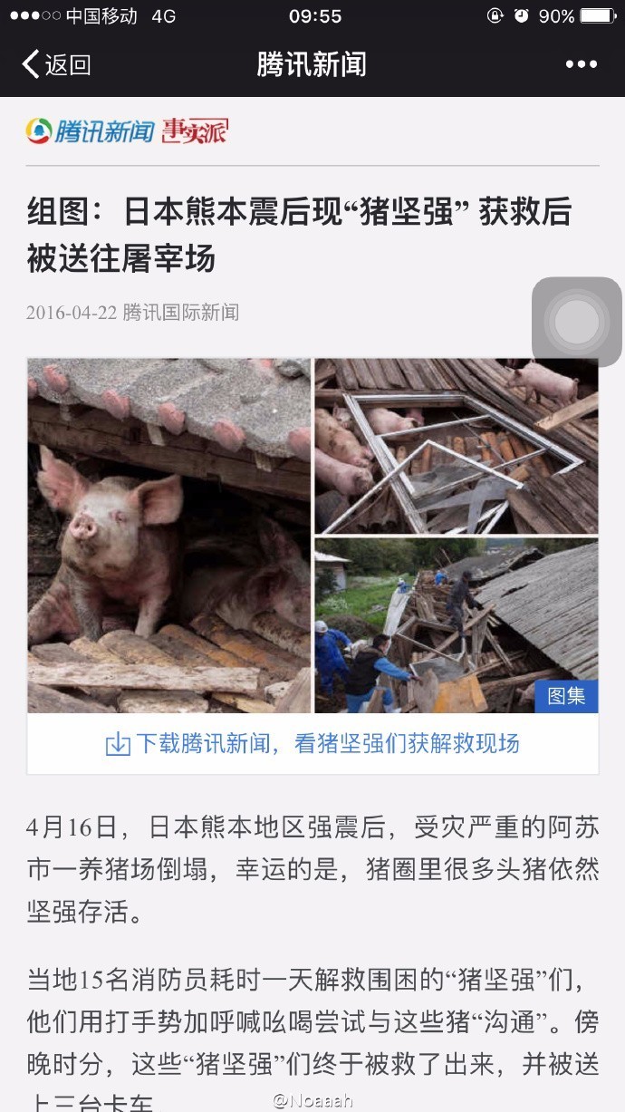 支持国货国货当自强,国货大聚会国货当自强