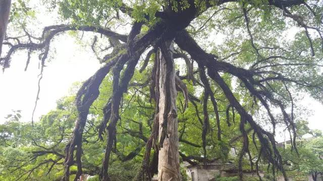 不吹牛了,不吹牛你会怎么样