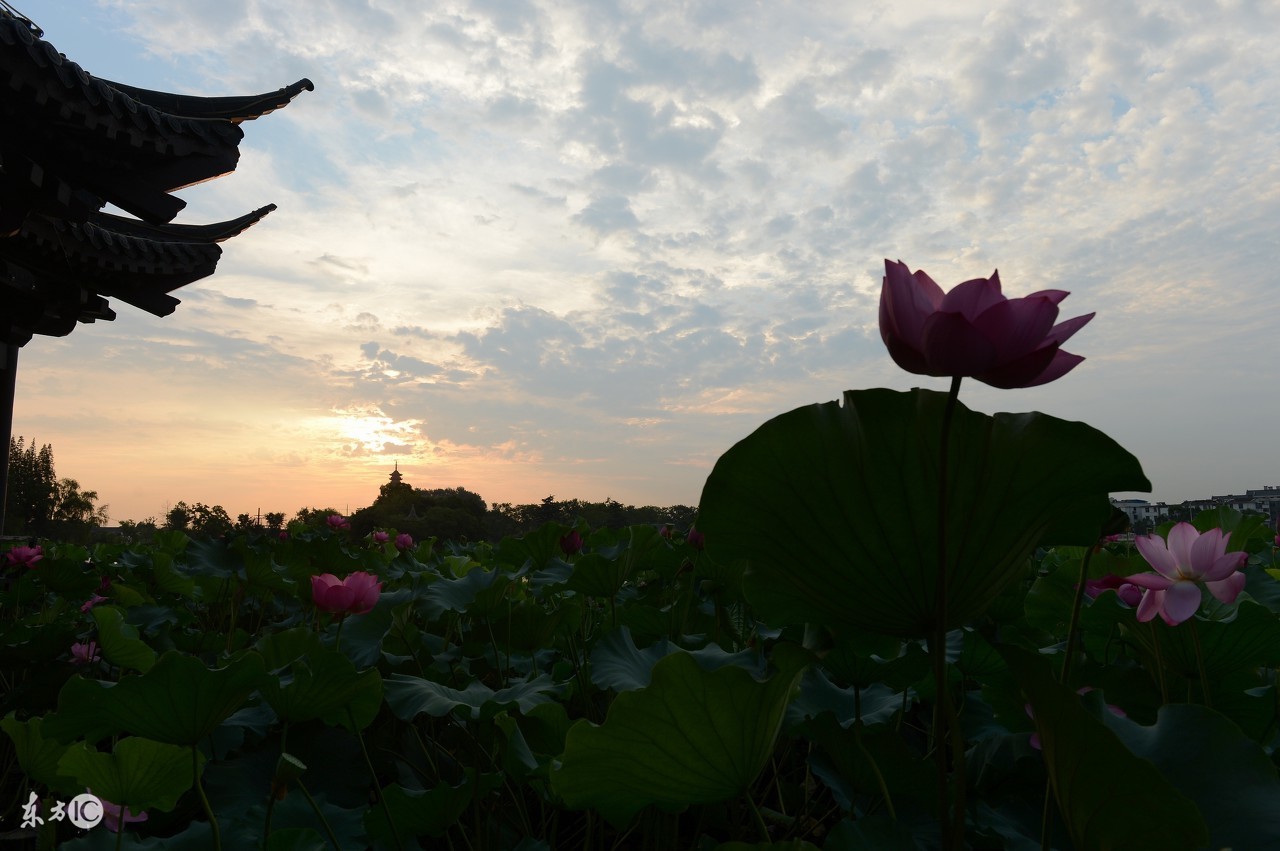 王之涣最有名的十首诗,王之涣一生只留下6首古诗