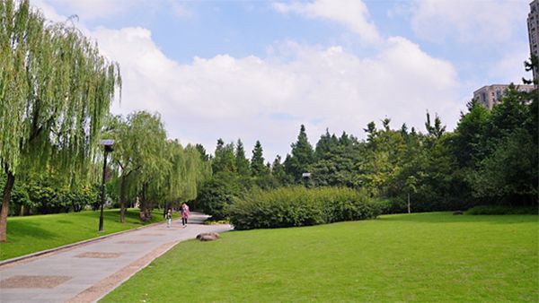 好天气不出门晒太阳,大好的天气不出门