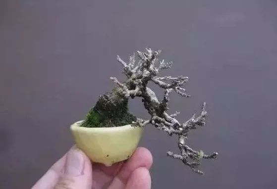 大师是怎样炼成的二胡独奏,真正的大师是怎么练成的