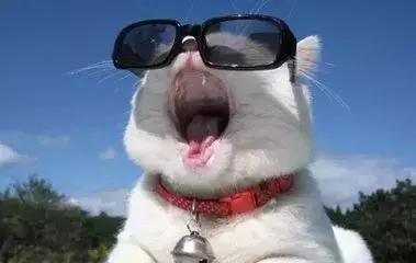 放寒假的意义何在,放寒假的日子舒服吗