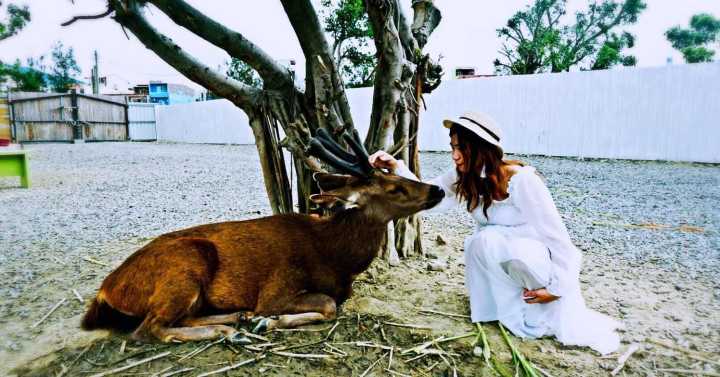 恋恋花莲小清新：寻找那一抹花意
