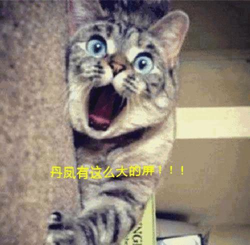 昨天晚上，大家都在广场抬头看一块屏幕！