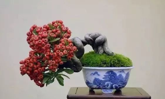 大师是怎样炼成的二胡独奏,真正的大师是怎么练成的