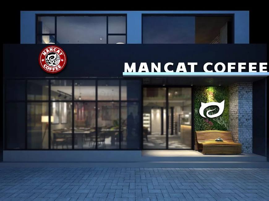 漫猫咖啡:小门店微投资,为你量身打造的偶像级猫星咖啡馆