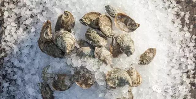 西雅图海边生蚝,全球最好吃的生蚝牡蛎