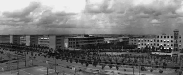 酒仙桥最新消息,酒仙桥最近新消息