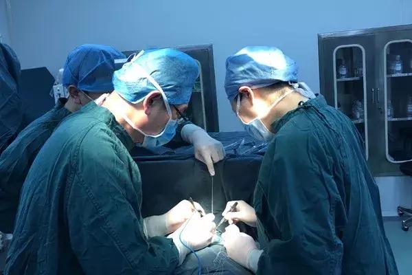 穆晓红教授直播,穆晓红脑瘫专家