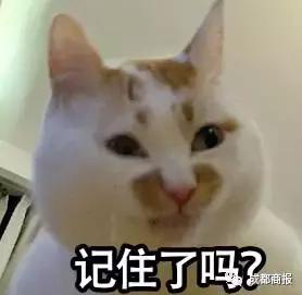 狗咬人狂犬病发作视频小孩,小狗咬伤小孩狂犬病致死