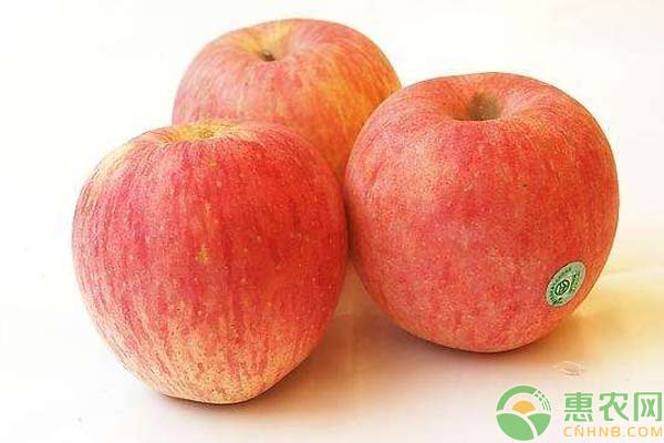 2018年1月16日国内苹果主产区收购价格行情