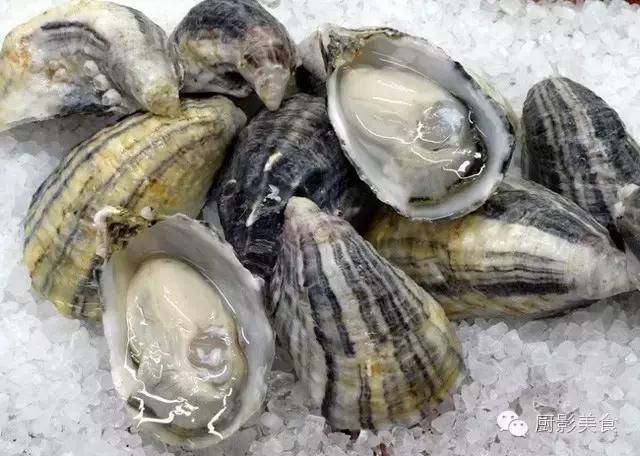 西雅图海边生蚝,全球最好吃的生蚝牡蛎