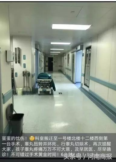 郑州一男童“蛋蛋”疼,送医后为时已晚需要切除!