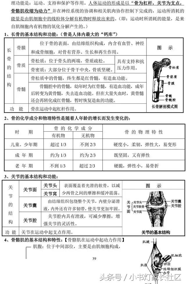 中考生物知识点总复习,中考生物复习要点最新版