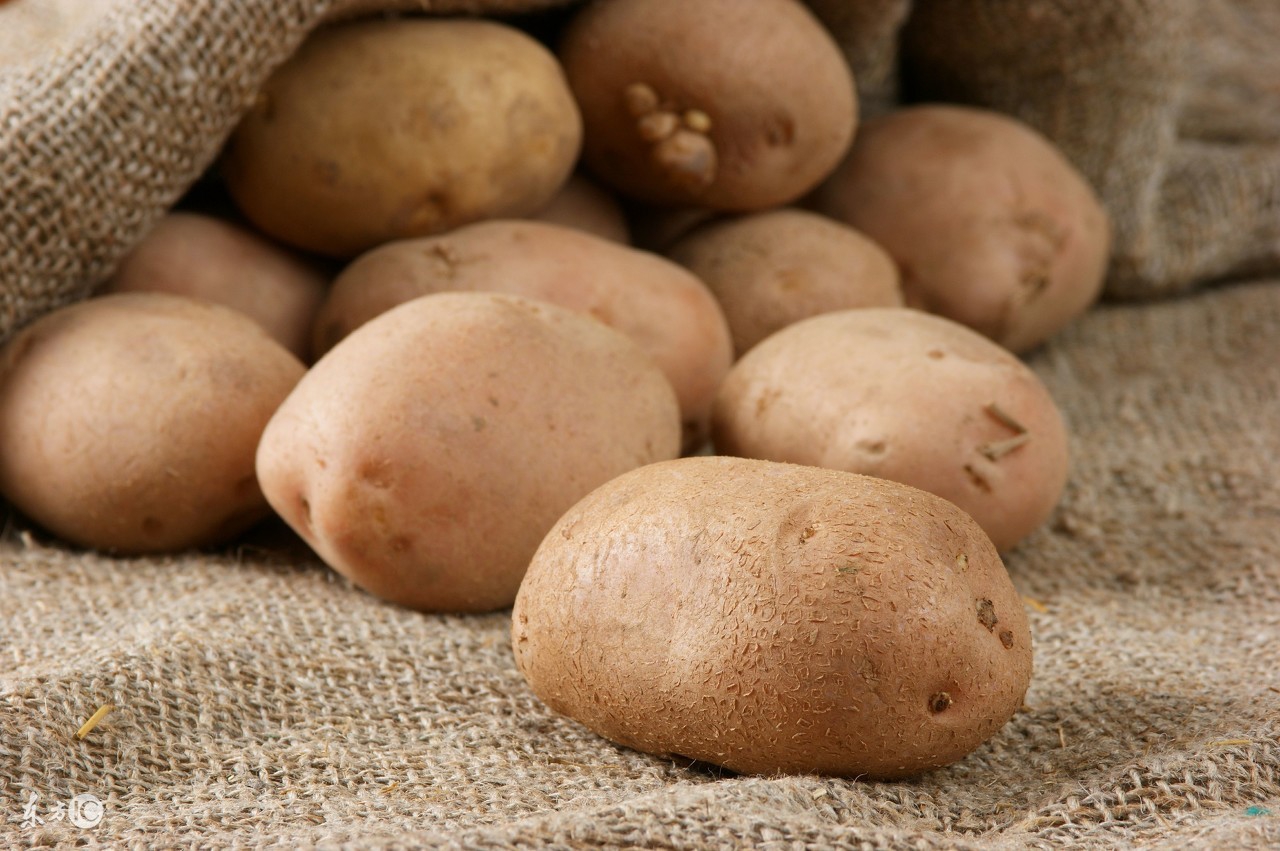 土豆所有人都吃吗,土豆真的好吃吗