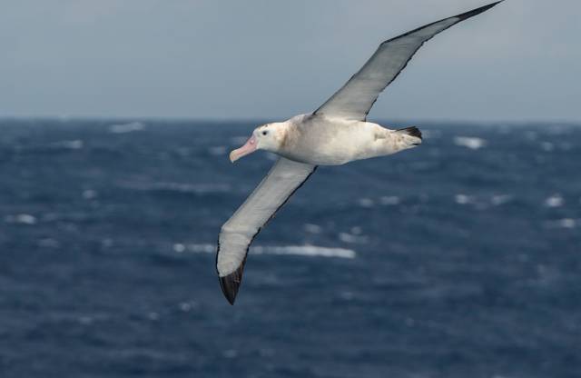 通往南极地下的水道,地球之极破冰船南极之旅