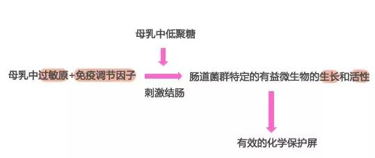 婴儿肠道菌群的定值与湿疹的发生+发展