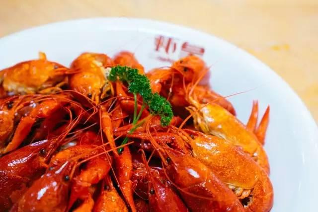 去过湖北的人,去过34个省的感受