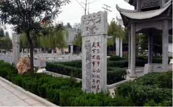 东阿县百年堂在哪,东阿百年堂加盟