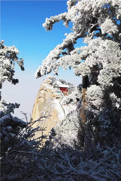 致学生*党**|趁寒假来华山吧!