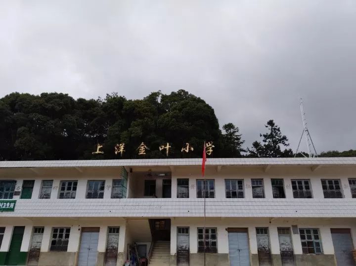 书画艺术品拍卖排行榜,书画作品拍卖视频