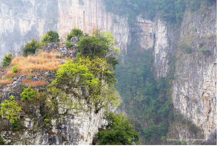 大沩山美景,最美的天柱峰