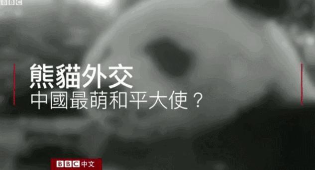 我国国宝大熊猫被外国租借有多难,日本大熊猫悲惨生活