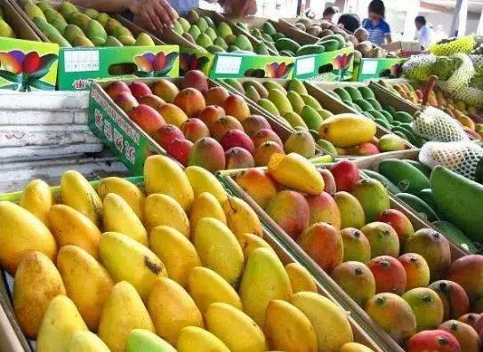 精通水果的批发技巧,让自己少走一些弯路!