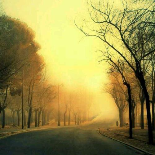 发生矛盾怎么让对方感到愧疚,闹过矛盾的人该怎么相处