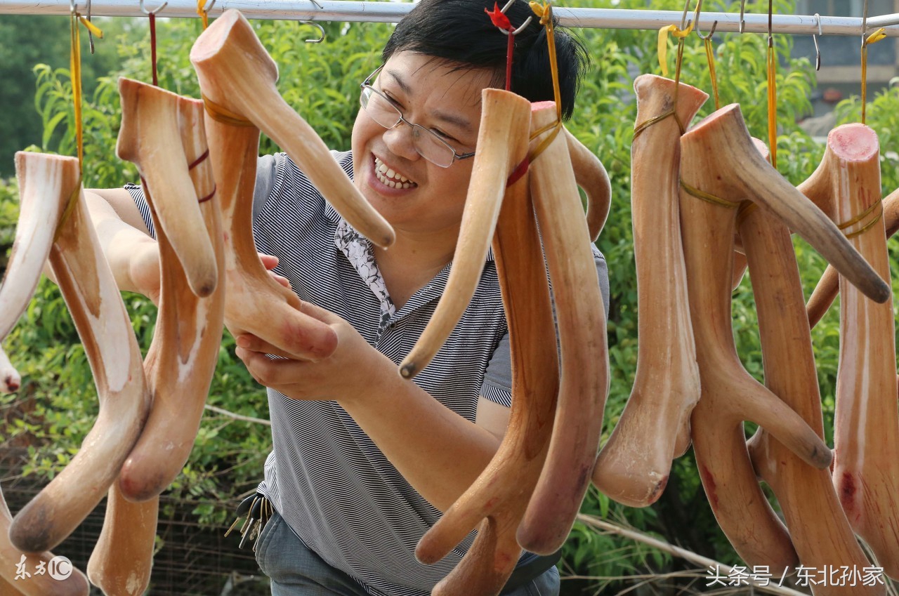 东北三宝鹿茸人参,东北三宝鹿茸的功效