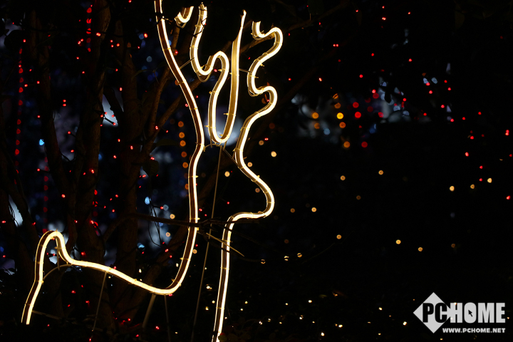 最好的佳能微单m6评测,佳能6d镜头推荐平价