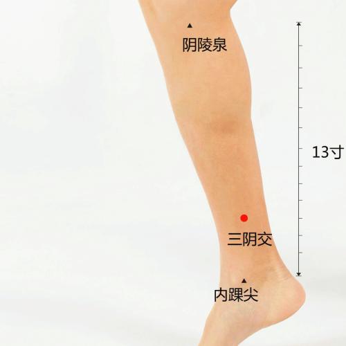 为什么说“三阴交”是女性的美容灸穴位？