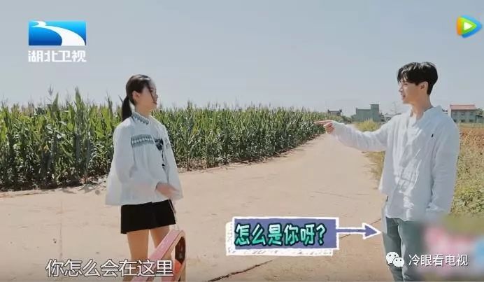 一档恋爱综艺真人秀,恋爱真人秀节目里有几对cp