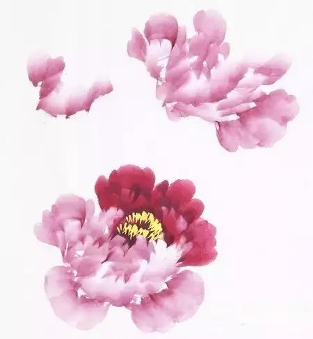 粉笔画牡丹画法简单,牡丹画法简单讲解太实用了
