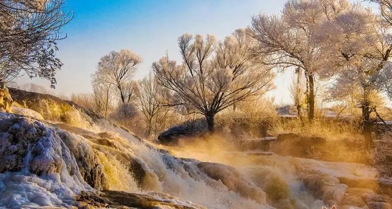 寒气席卷、叶汽成霜……陕西6处大美雾凇奇景上线！