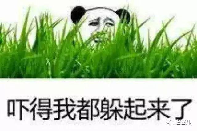 40-50岁精华肌底液哪款好,40-50岁精华液推荐实测