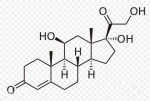 长期服用激素对身体有多大影响,长期使用激素药的危害