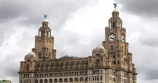 海鸥老鹰大雁,海鸥老鹰孔雀