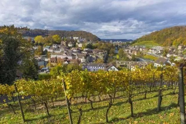 葡萄酒庄园旅游,葡萄酒之乡旅游攻略