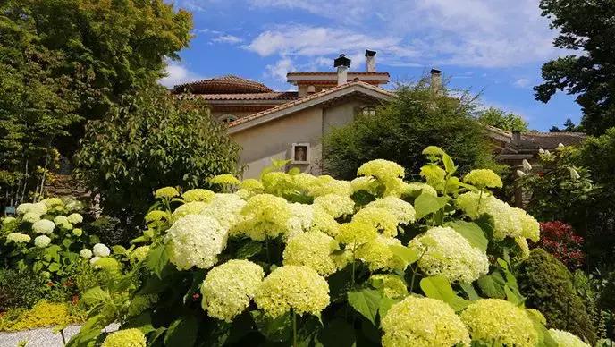 日本亲子动漫旅游攻略,日本动漫博物馆大全