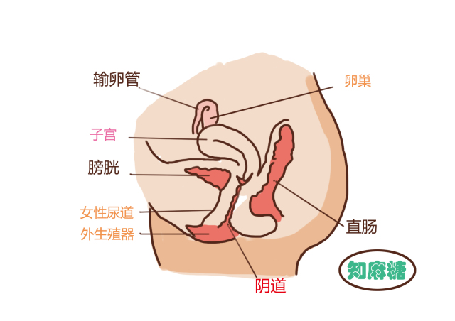 男生不要看女生的温馨小贴士,男生勿看女生什么意思