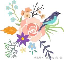 原来你也是颜值控,想不到自己还是个颜值控