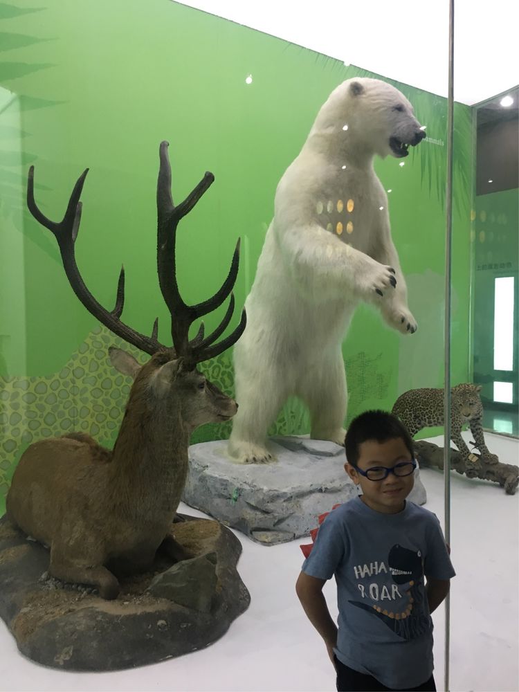 和小屁孩们一起出去玩的视频,和小屁孩玩的一天