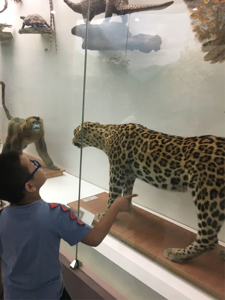 和小屁孩们一起出去玩的视频,和小屁孩玩的一天